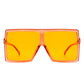 Oversize Square Tinted Sunglasses