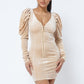 Velvet Puff Sleeve Mini Dress