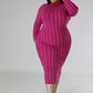 Turtleneck Striped Dress