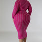 Turtleneck Striped Dress