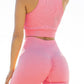 Seamless Crop Top Short Set